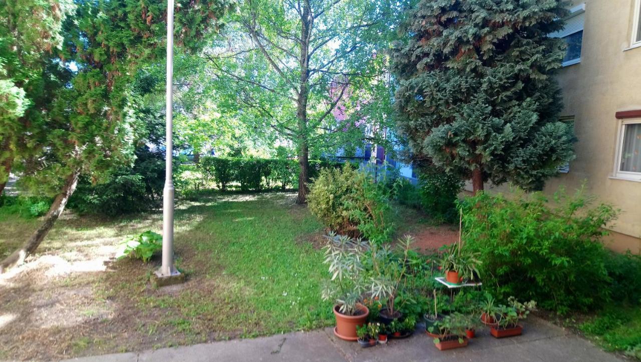 Sziget Apartman Eger Bagian luar foto